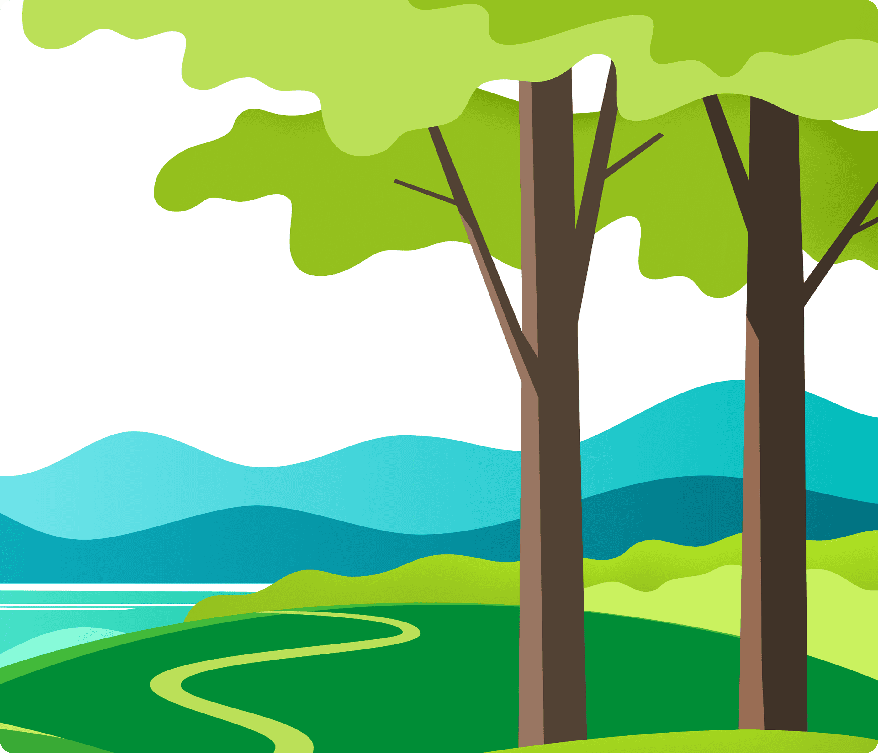 Main Immigration Pathways under MPNP Illustration