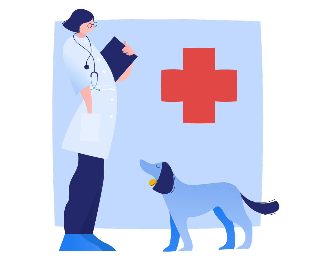 Eligibility Requirements Illustration